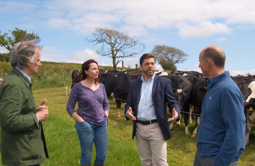 Crabb calls for urgent support for crisis-hit dairy farms